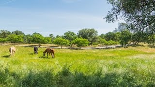 California Ranch Ranch For Sale  Stagecoach Ranch Calaveras County California [upl. by Arayk]