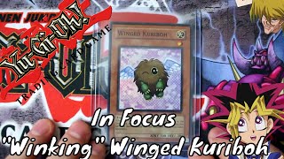 In Focus  Yugioh  Winged Kuriboh GX1EN002 [upl. by Archibaldo]