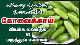 கோவைக்காய் மருத்துவ பயன்கள்  Top 10 Health Benefits of Ivy Gourd  Ivy Gourd Kovakkai Health Tips [upl. by Drain387]