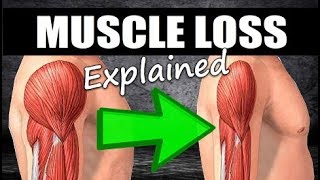 How Long Does It Take To LOSE Muscle After A Layoff [upl. by Buseck]