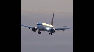 Lovely Trailing Edge Vortices Air Canada 737 Max Evening Landing Vancouver YVR Shorts [upl. by Lareine935]