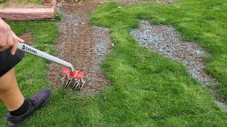 Reseeding Some Bare Spots  DIY Lawn Guy [upl. by Zoeller536]