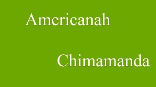 Americanah by chimamanda summary in Tamil [upl. by Vish129]