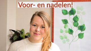 Budgetteren de voor en nadelen  tips [upl. by Hung550]