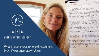 Angst vor Wasser wegtrainieren Der Trick mit dem Reiz  Andrea Kutsch Akademie [upl. by Gayl909]