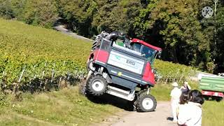 Weinlese Vollernter  A modern way of harvesting grapes in Germany [upl. by Amelus]