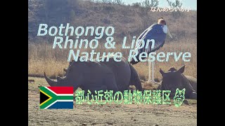 The Bothongo Rhino amp Lion Nature Reserve  ボソンゴ サイ＆ライオン動物保護区😽 [upl. by Kerry]