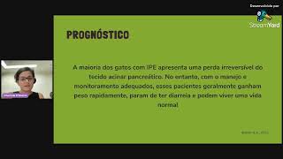 Insuficiencia pancreática exócrina em gatos [upl. by Namwob]