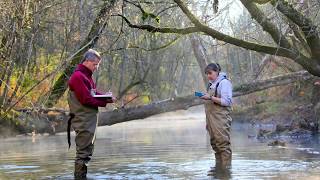 Newly identified microbial process could reduce toxic methylmercury levels [upl. by Nelhsa]