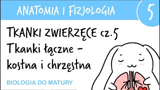 Tkanki zwierzęce cz5  Kostna i chrzęstna  Anatomia i fizjologia 5  matura z biologii [upl. by Spaulding]