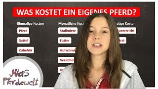 Was kostet ein eigenes Pferd Teil 1 Versicherungen [upl. by Marillin]