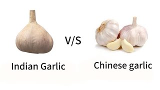 Indian Garlic VS Chinese Garlic 🧄 [upl. by Neelik]