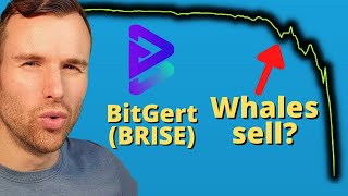 Why Bitgert is up ⚠️ BRISE BitRise Crypto Token Analysis [upl. by Shae]