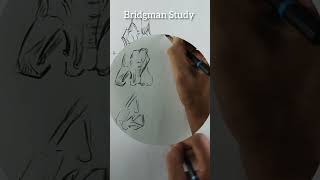 Bridgman Study  Nose Anatomy shorts youtubeshorts artbungalow [upl. by Irafat887]