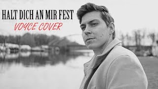 REVOLVERHELD  HALT DICH AN MIR FEST VOYCE COVER [upl. by Krein]