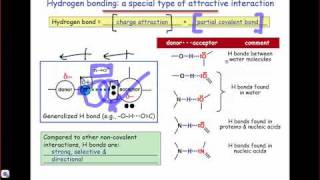 The Nature and Optimal Geometry of the Hydrogen Bond [upl. by Enomsed]