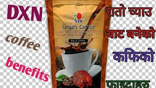 DXN coffee benefits Dxn कफिको बारेमा फाइदा जानकारी दिदै [upl. by Ynohtna]