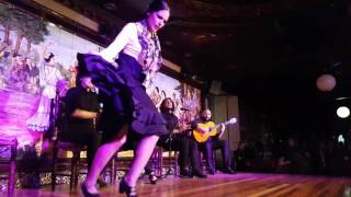 Tablao Flamenco Villa Rosa V CONCURSO DE BAILE FLAMENCO 2016 Semifinales 2a ronda 3r part 1Act [upl. by Airdni]