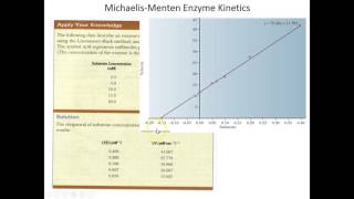 Lecture 5B  More MichaelisMenten Enzyme Kinetics [upl. by Lihka768]