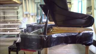 Test pianos Steinway Forster Pfeiffer Fazioli Grotrian Bluthner Bechstein Bosendorfer Steingraeber [upl. by Annoek61]