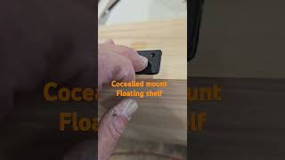 Floating shelf concealed floatingshelf woodshop woodprojects viralvideo rockler dewalt [upl. by Babara]