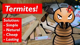 Termites eat and they dont repeat DIY natural pest control for the home and shop [upl. by Goth122]