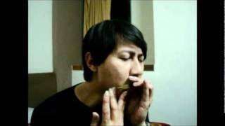 Duc Minh plays an improvisation with Hmong jews harp [upl. by Yrrek]