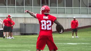 Kansas City Chiefs WR Dwayne Bowes BehindtheBack Catch Chiefs mandatory minicamp June 17 2014 [upl. by Atikkin]