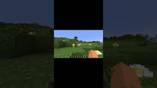 Minecraft vs Shaders shorts edit minecraft gaming capcut [upl. by Clintock751]