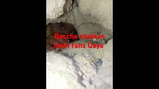 Baccha chattan mein fans Gaya Kaun nikalega Khuda jaane [upl. by Irvine]