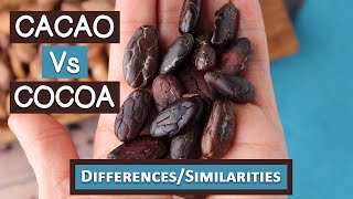 Cacao Vs Cocoa Top 6 Differences and Similarities [upl. by Anen830]