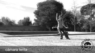 TAI CHI YANG Tutorial La grulla blanca extiende sus alas  bai he liang zhi [upl. by Anastas]