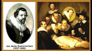 Biography of Jan swammerdam and his contribution to the study of science [upl. by Enaitsirk]