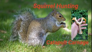 Catapult hunting grey Squirrel [upl. by Oiredised]