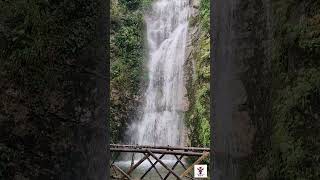 Duka Waterfall ❣️ northbengal minivlog contentcreator viralshorts trendingshorts travel peace [upl. by Nemhauser]