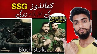 SSG The Untold Story of Pakistans Deadliest Commandos  Descent Vlogs [upl. by Ear]