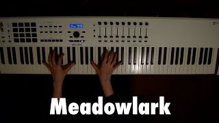 Meadowlark The Bakers Wife  Piano Accompaniment [upl. by Zacharias]