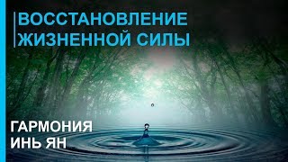 Музыка для Восстановления Жизненной Силы ☯ Гармония Инь Ян ☯ Лучшая Релакс Музыка 2019 [upl. by Gilder]