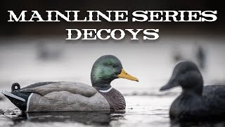 MAINLINE SERIES DECOYS [upl. by Shandy566]