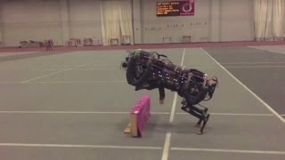 MITs Robotic Cheetah Makes History Jumping Obstacles While Running [upl. by Aohk]