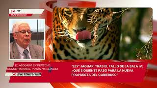 Fallo de la Sala IV a Ley Jaguar [upl. by Nihsfa]