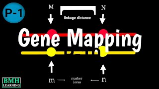 Genome Mapping  Genetic Mapping amp Physical Mapping  Types Of Gene Mapping [upl. by Shuma]