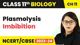 Ch11 Transport in Plants  Plasmolysis and Imbibition  Hypertonic Solution  Class 11 BiologyNEET [upl. by Immak119]