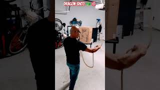 Rope Dart Move Used in Movies  The Dragon SHOT Explanation and Demo Hitting the Target 🎯 With It [upl. by Corri]