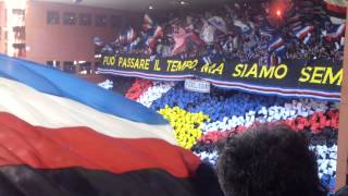 Derby GenoaSampdoria coreografia sud [upl. by Horgan]