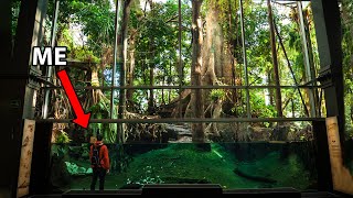 I Visited One of the Largest Indoor Rainforests in the Middle of a City [upl. by Dolores272]