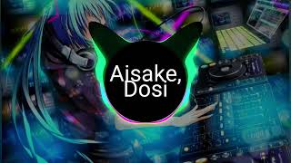 Dosi amp Aisake  Cruising NCS Release [upl. by Decrem344]