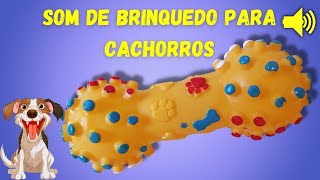 Som de Brinquedo para Cachorro Ouvir e Virar a Cabeça [upl. by Sibilla]