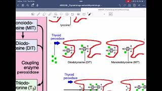 Thyroid and antithyroid drug [upl. by Fogg]