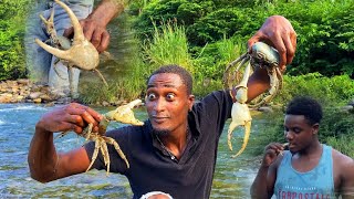 MASSIVE LAND CRAB catch N cook at this beautiful river side Portland Epic [upl. by Acireed289]